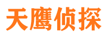 汶川市调查公司